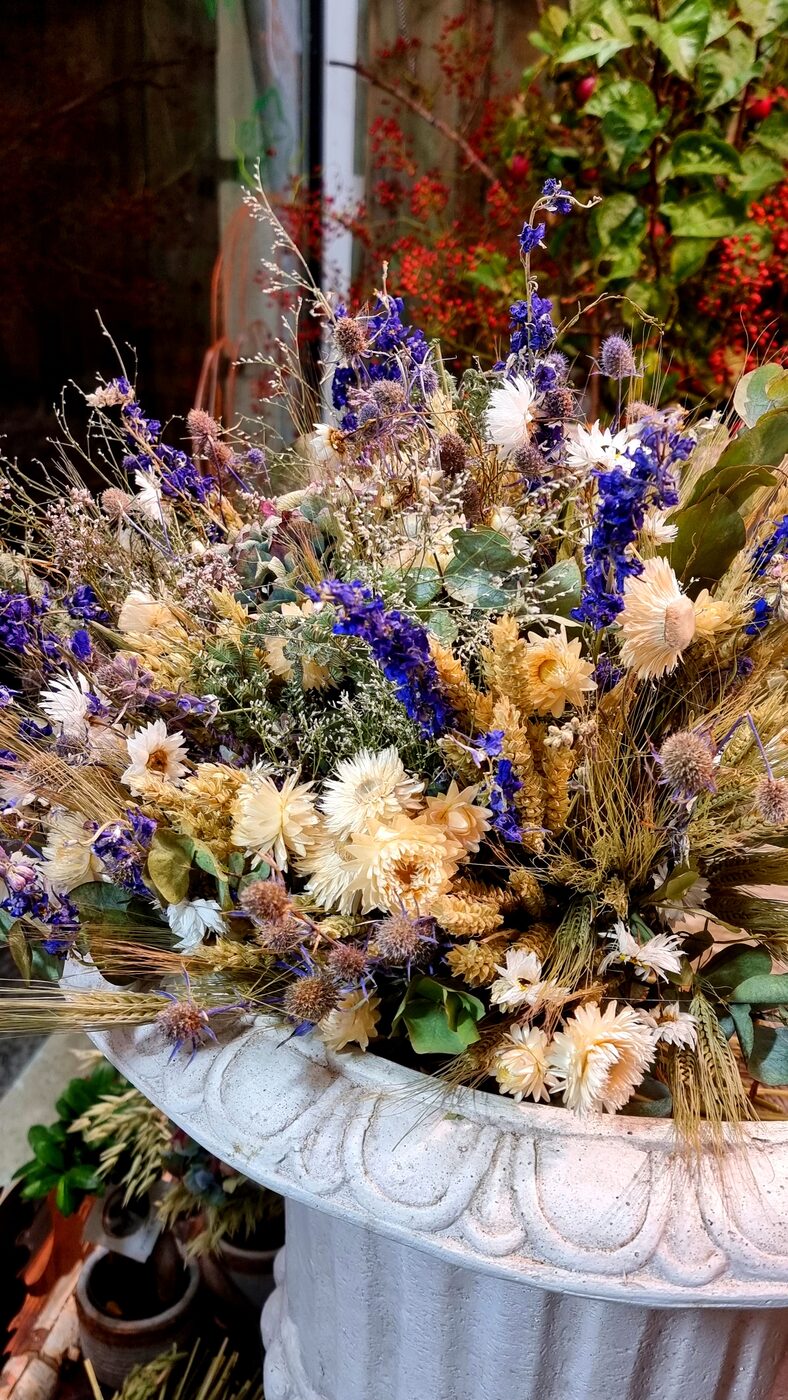 Fleurs séchées