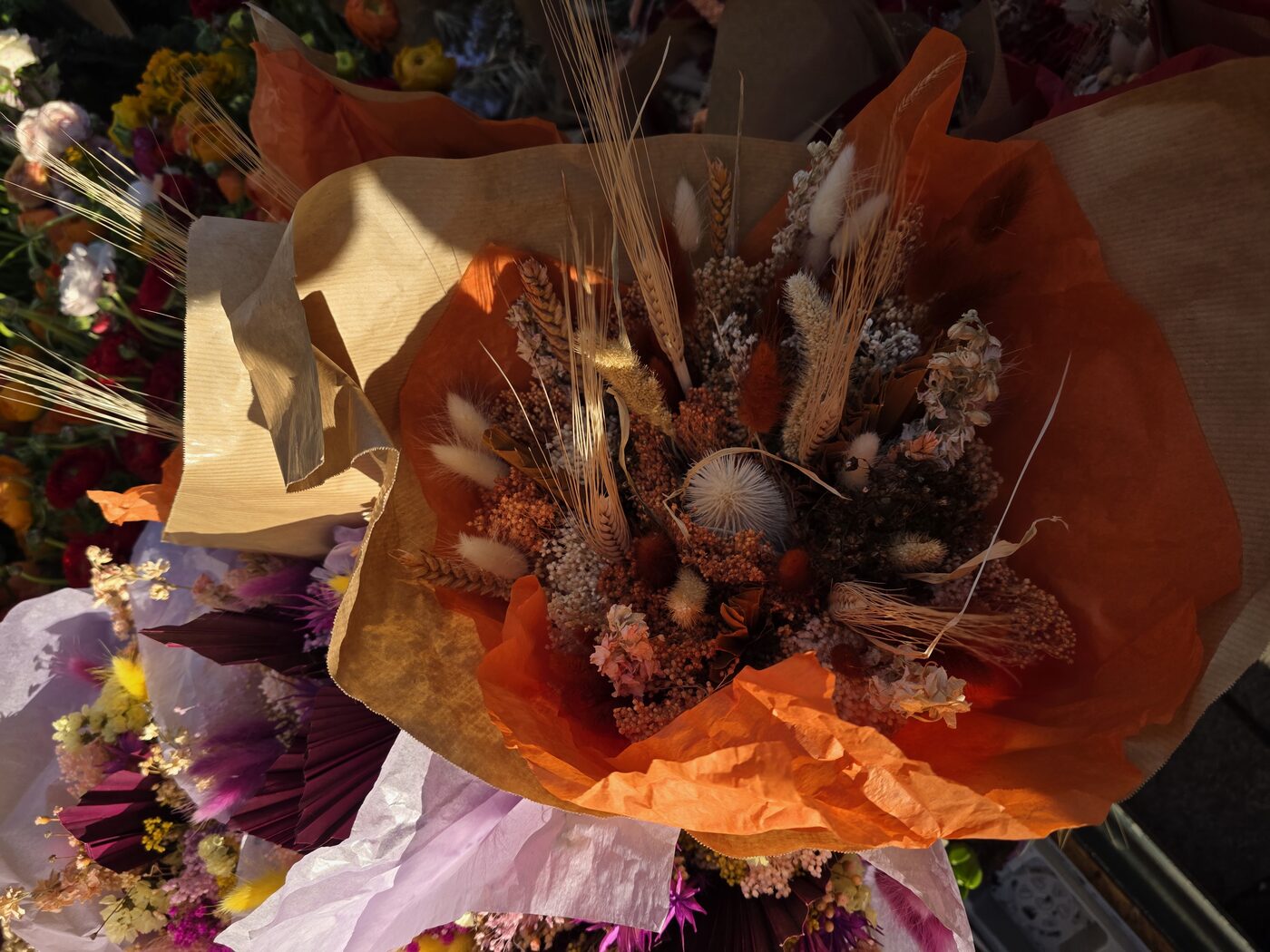 Bouquet séché du sud