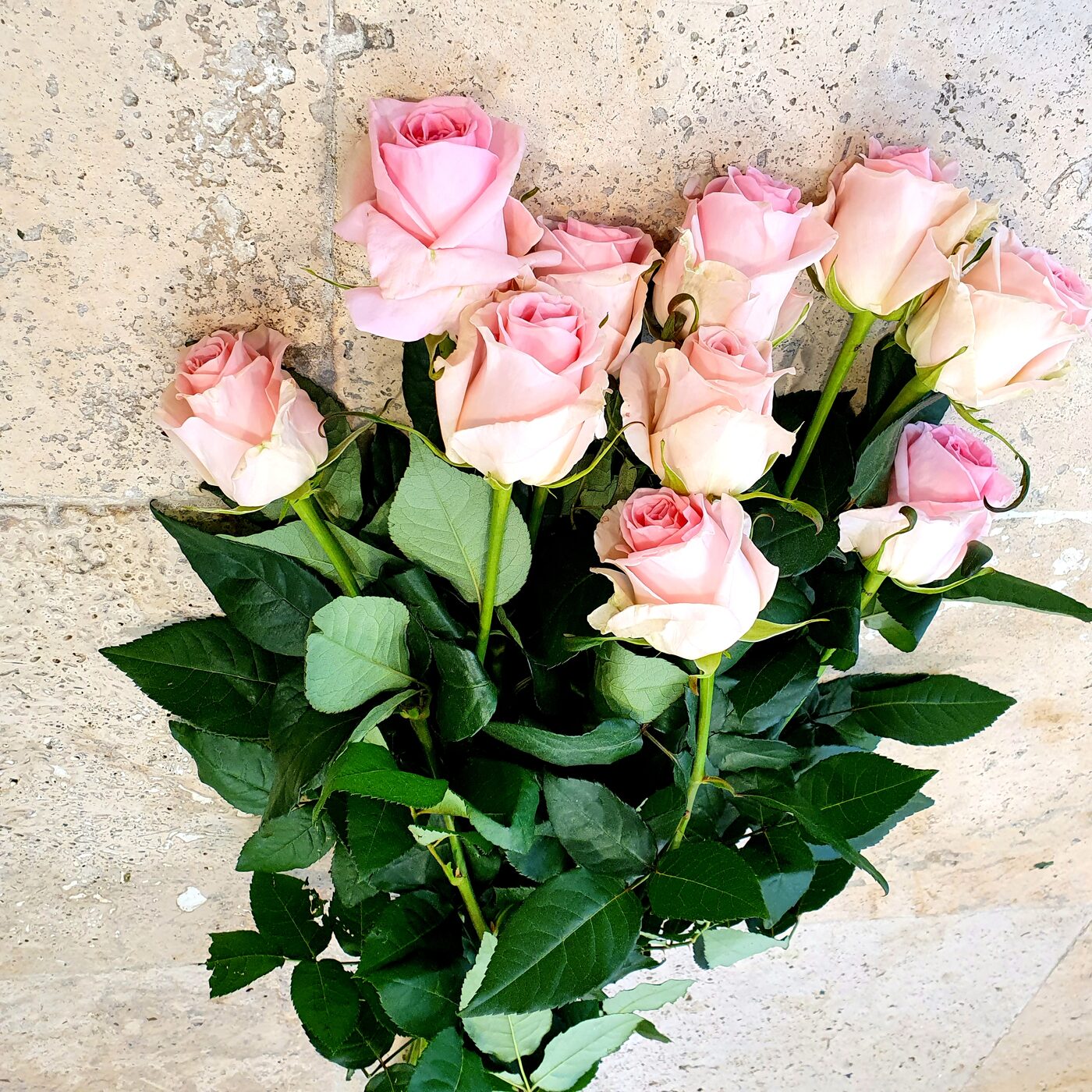 Fleurs coupées